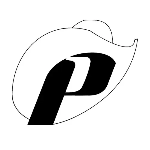 Logotipo de PINHO DIESEL E FERRAMENTAS